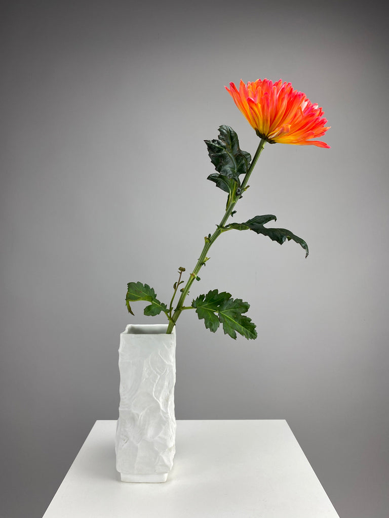 1960’s Matt white porcelain Op Art vase by Seltmann & Weiden West-Germany - Vase