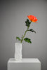 1960’s Matt white porcelain Op Art vase by Seltmann & Weiden West-Germany - Vase