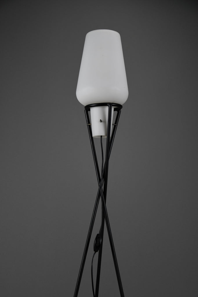 Elegant mid century floor Lamp black painted Iron lamp with milk glass shade - Lighting Floor