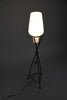 Elegant mid century floor Lamp black painted Iron lamp with milk glass shade - Lighting Floor
