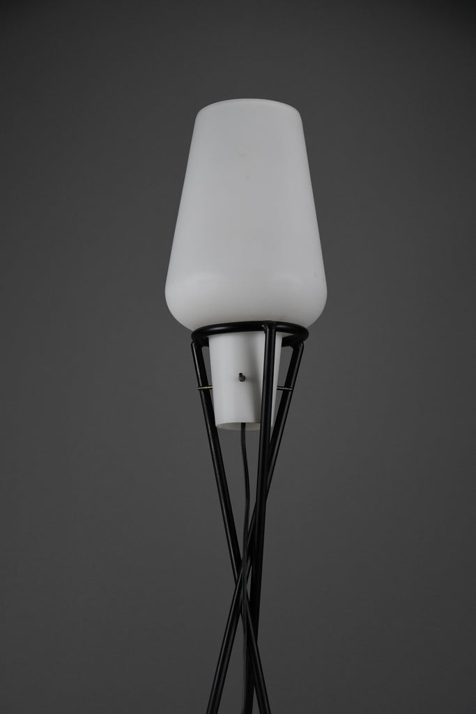 Elegant mid century floor Lamp black painted Iron lamp with milk glass shade - Lighting Floor