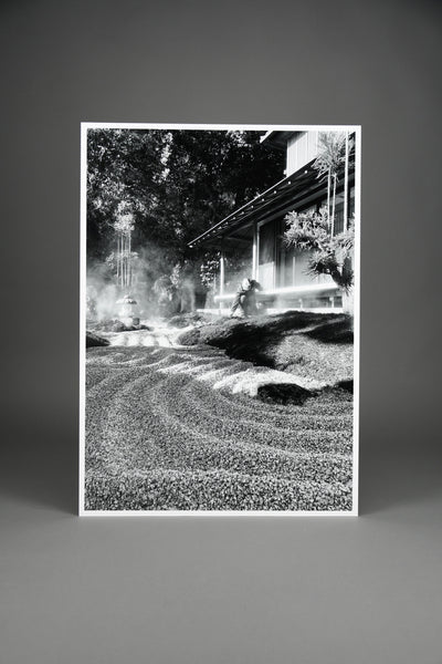 “Hase-dera Temple Kamakura Kanagawa” - Art