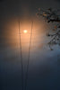 Ilios Floor Lamp by Ingo Maurer and Franz Ringelhan Design M - Lighting