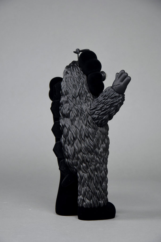 Kachamukku by KAWS - Art Toys