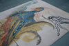 Le Grand Pavon Wool Carpet after Salvador Dalí - Rugs