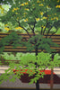 Masao Ido, “Green Shade” (緑蔭) 1991 Artist’s Proof traditional Japanese woodblock print - Art