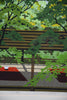 Masao Ido, “Green Shade” (緑蔭) 1991 Artist’s Proof traditional Japanese woodblock print - Art