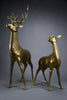 Monumental 1970’s Hollywood Regency brass deer pair attributed to Maison Jansen - Art