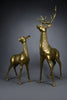 Monumental 1970’s Hollywood Regency brass deer pair attributed to Maison Jansen - Art