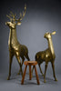 Monumental 1970’s Hollywood Regency brass deer pair attributed to Maison Jansen - Art