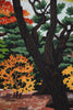 Original Japanese Sosaku Hanga woodblock print Masao Ido ’Ginkaku-ji Temple in Autumn’ - Art