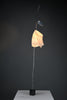 Rare “Watapunga” table lamp by Ingo Maurer & Dagmar Mombach 1998 - Lighting