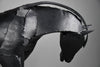 Unique Welded Iron Horse Sculpture by Lida Boonstra 1998 - Decor