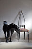 Unique Welded Iron Horse Sculpture by Lida Boonstra 1998 - Decor