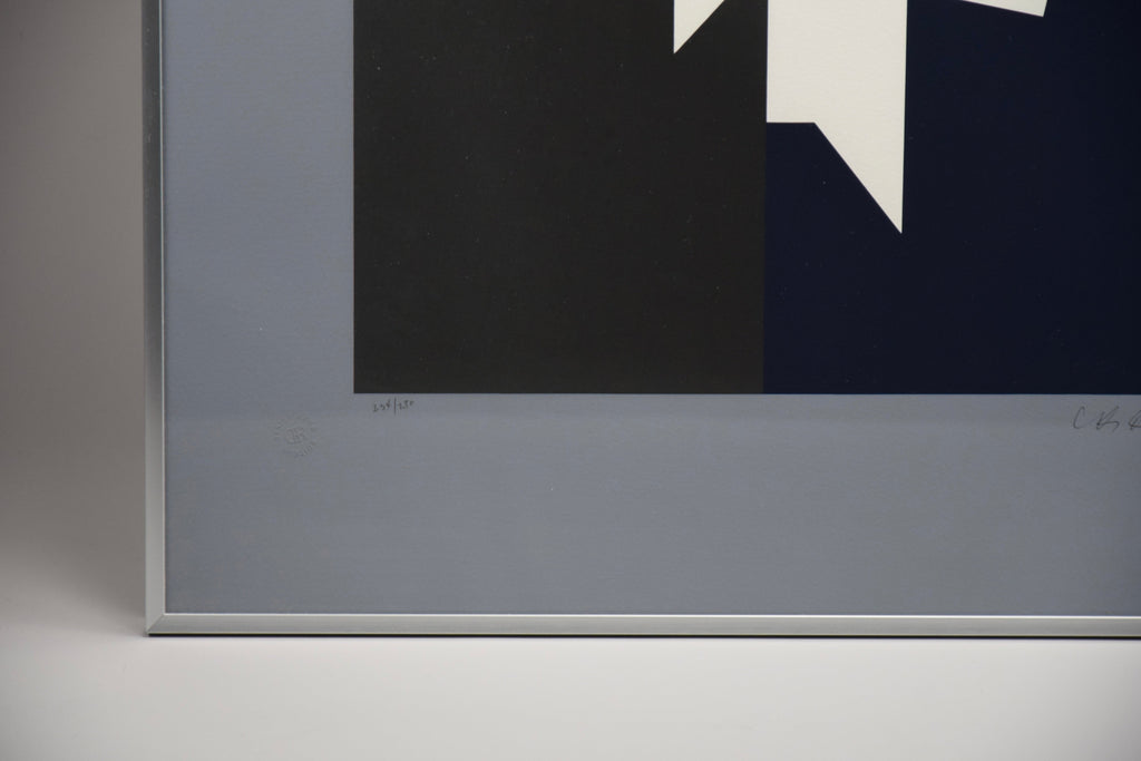 Victor Vasarely - Art